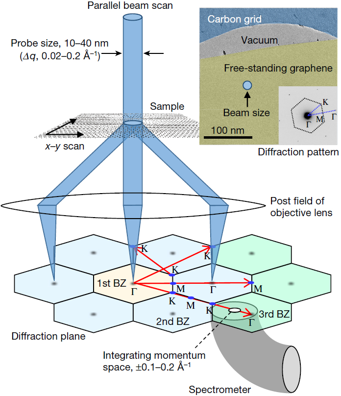 Momentum-resolved vibrational spectroscopy of graphite
and hBN using EELS.