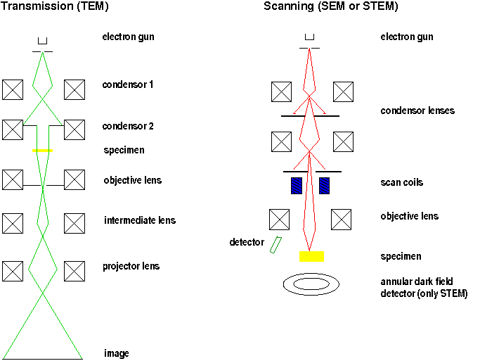 TEM, SEM, STEM